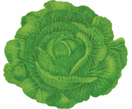 Placemat leaf