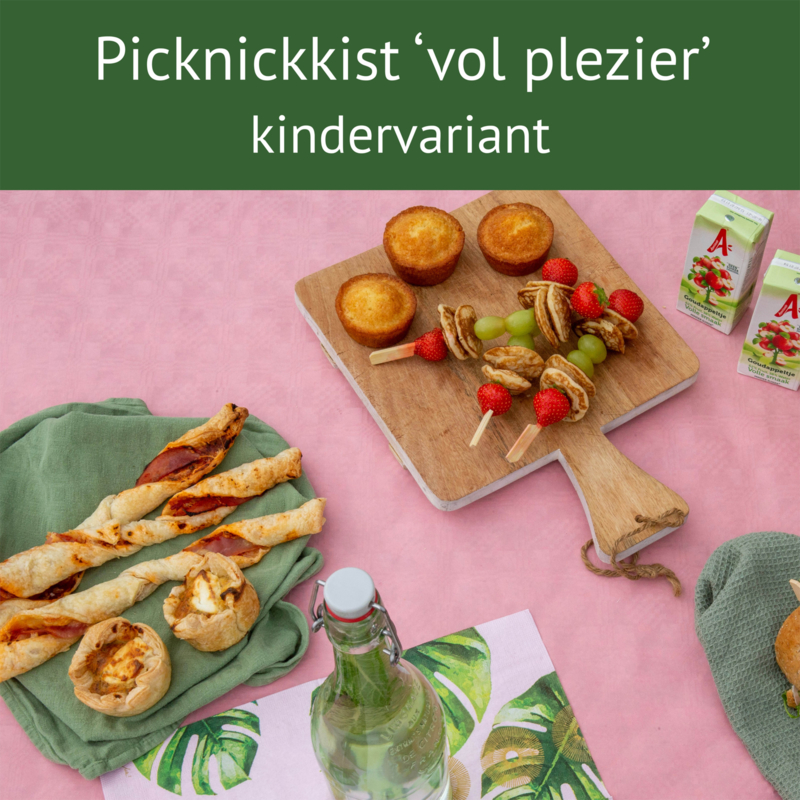 Picknickkist 'vol plezier' 1 kind