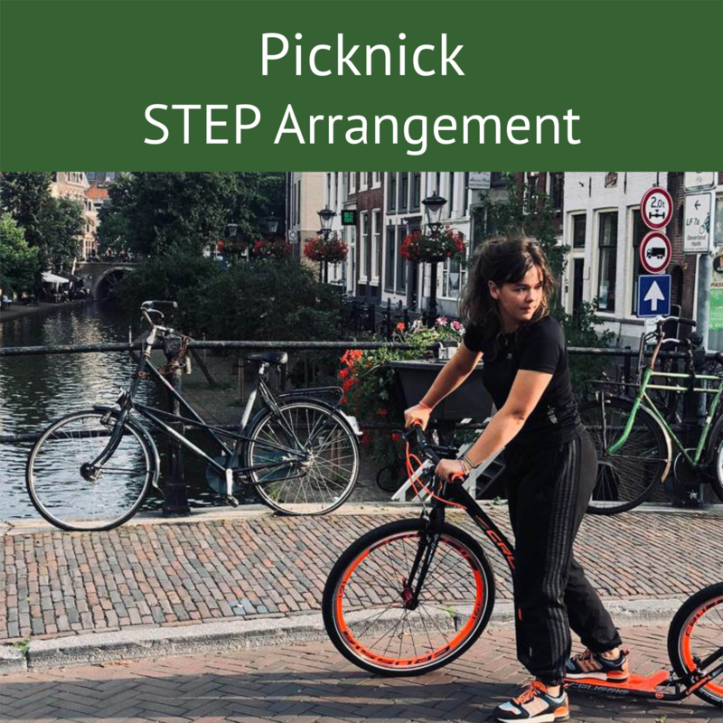 Picknick STEP Arrangement- 4 uur