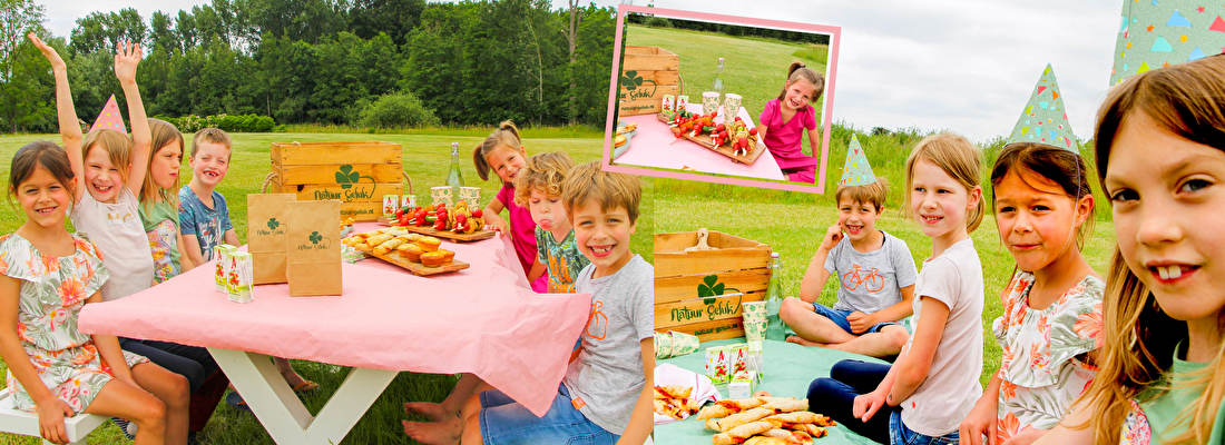 Nucleair Verstikken binnenvallen Kinderfeestje => picknick party! | Natuur Geluk