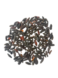 Tonka Bonen uit Suriname 100 Gr.