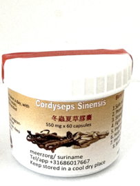 Cordyseps Sinensis 60 x 550 mg capsules