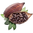 Surinaamse Cacaoboon olieserum puur - 100 ML Op=OP