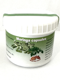 Moringa Olifeira 60 x 550 mg capsules