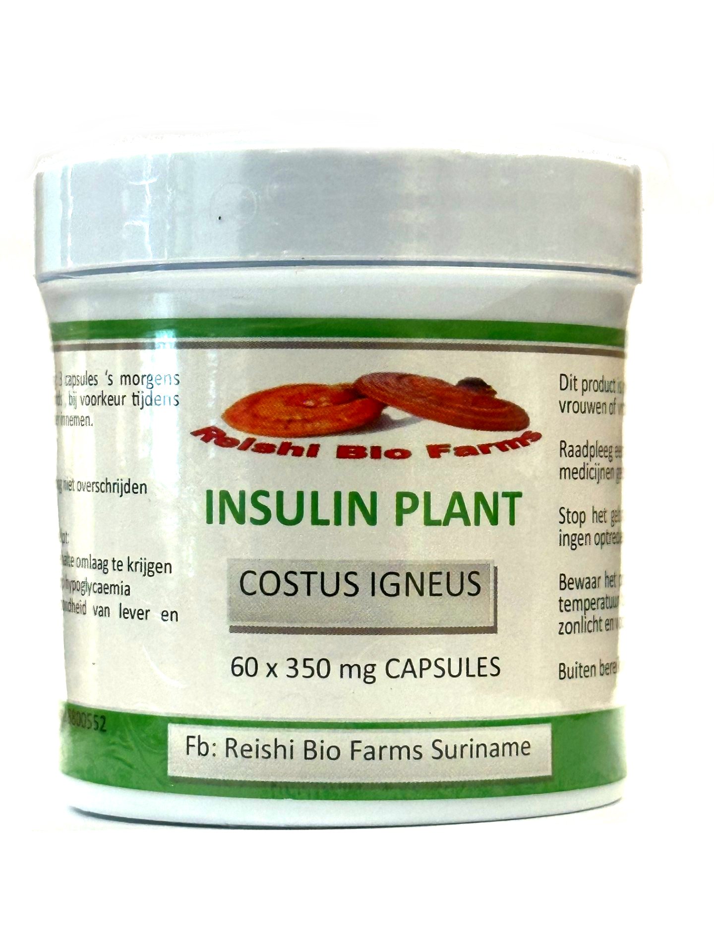 Insuline plant capsules 60 x 350 Mg