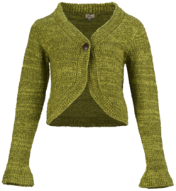 HeArt "Paola cardigan CKP", olive