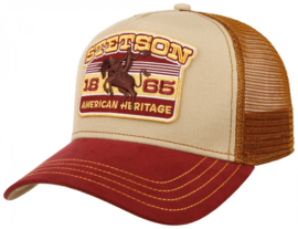 Stetson petten