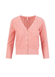 Blutsgeschwister vestje "Sweet Petite Pink Pigtail"