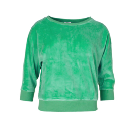 Chills and Fever velours top  'Sybille", groen