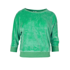 Chills and Fever velours top "Sybille", groen