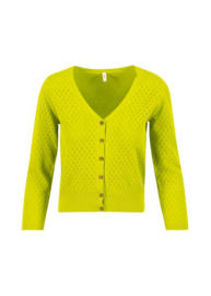 Blutsgeschwister "Sweet Petite", tradiational green knit