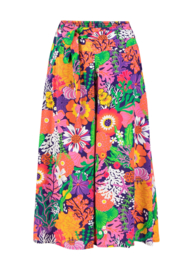 Blutsgeschwister "Flotte Culottes", coral flower