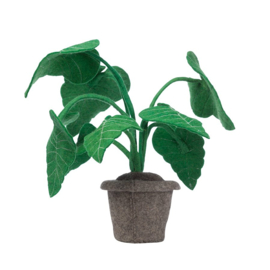 Kidsdepot Alocasia plant vilt 45 cm