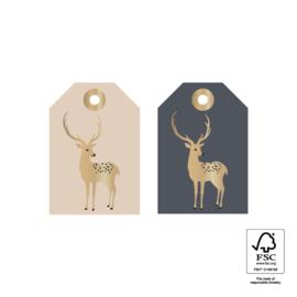 18 delig zwart - goude ster - cadeautasjes