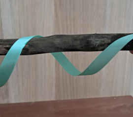 5 Meter satijnen lint Mint groen 10 MM