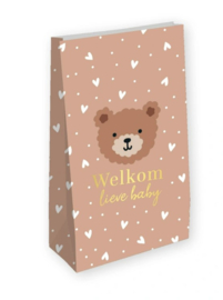 2 Kraft zakken " welkom lieve baby"