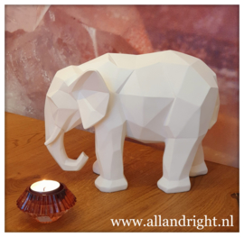 Olifant wit, Large