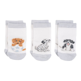 'Little Paws' baby sokken