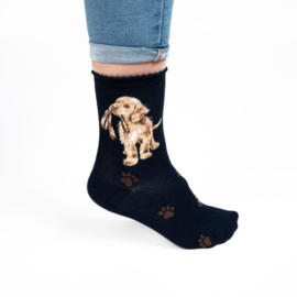 Hopeful labrador sokken