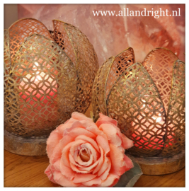 Lantaarn Tulp goud Large