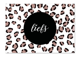 Liefs leopard - Studio Jans