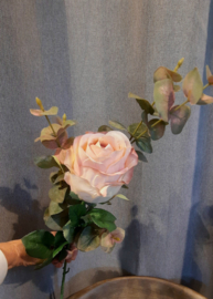 Rosa XL vintage pink