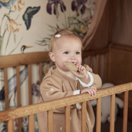 JOLLEIN | Bijtring Teddy Bear Biscuit