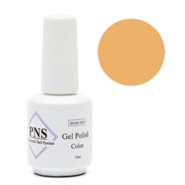 PNSgelpolish 2000