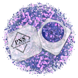 PNS Nail Art Glitter 80 Mix Mat & Shiny - Blauw/Paars