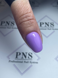 PNS B Bottle Purple