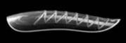 PNS Molding Dual Forms Long Test Set