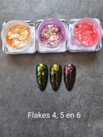 PNS Flakes 5