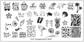 PNS Kleine Stempel plaat M019