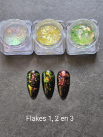 PNS Flakes 1
