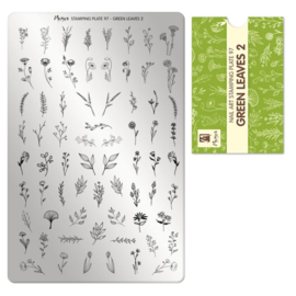 MOYRA Stamping plate  97 Green Leaves 2