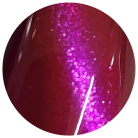 PNSgelpolish 1022