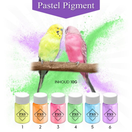 PNS Pastel Pigmenten