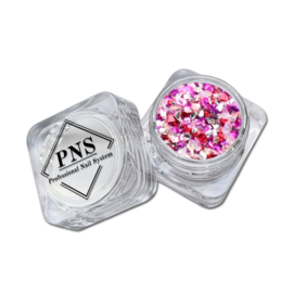 PNS Shell