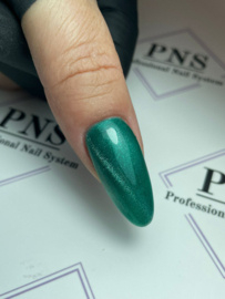 PNSgelpolish 1029