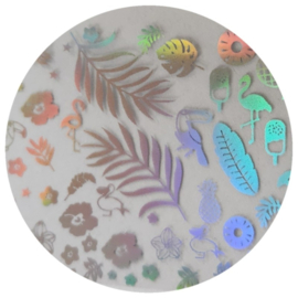 PNS Foil Design 7