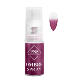 PNS Ombre Spray Metallic Bessen 28P