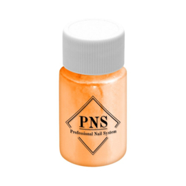 PNS pastel  Pigment 2