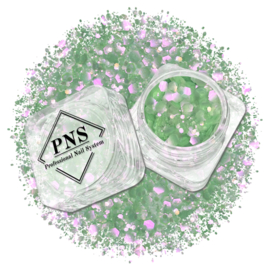 PNS Nail Art Glitter 78 Mix Mat & Shiny - Groen