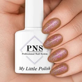 PNS Limited 1 en 2