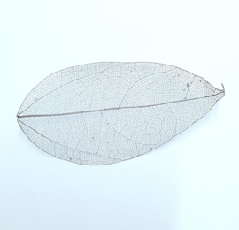 PNS Inlay Leaf 13