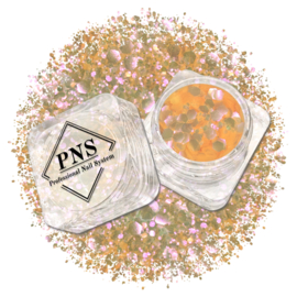 PNS Nail Art Glitter 75 Mix Mat & Shiny - Oranje