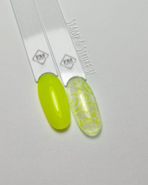 PNS Art Gel Stamp & Stroke 37