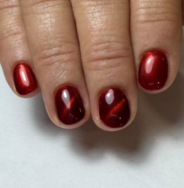 My Little Polish Môk Ôk Èh,  Hosternokke - Cateye