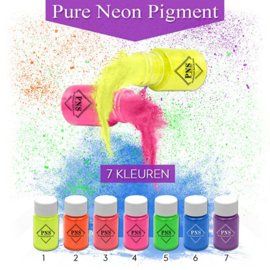 PNS Pure Neon Pigment