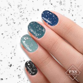 PNS Silver Flakes Top